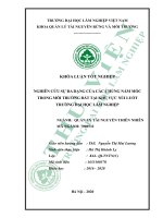 Nghiên cứu sự đa dạng của các chủng nấm mốc trong môi trường đất tại khu vực núi luốt, trường đại học lâm nghiệp 