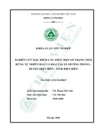 Nghiên cứu đặc điểm cấu trúc một số trạng thái rừng tự nhiên IIIA2 và IIIA3 tại xã mường phăng   huyện điện biên   tỉnh điện biên (khóa luận   lâm học) 