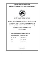 Nghiên cứu nuôi thử nghiệm loài chuột đất lớn (bandicota indica bechstein 1800) tại thị trấn xuân mai, huyện chương mỹ, thành phố hà nội 