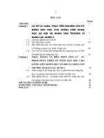 LUAN VAN THAC SI   “biện pháp tâm lý   sư phạm phát triển kỹ năng dạy học cho giảng viên khoa học xã hội và nhân văn