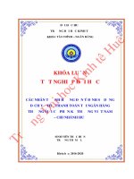 Các nhân tố ảnh hưởng đến ý định sử dụng dịch vụ thẻ thanh toán tại ngân hàng tmcp kỹ thương chi nhánh huế 