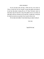 Luận văn thạc sĩ phân tích báo cáo tài chính của công ty cổ phần sữa việt nam vinamilk 