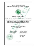 Nghiên cứu đặc điểm phân bố, sinh thái và giá trị sử dụng của loài chè hoa vàng (camellia quephongensis hakoda et ninh) tại xã đồng văn, huyện quế phong, ban quản lý khu bảo tồn thiên nhiên pù hoạt, tỉnh nghệ an 