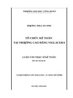 Luận văn thạc sĩ tổ chức kế toán tại trường cao đẳng viglacera 