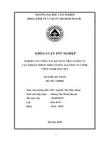 Nghiên cứu công tác kế toán tiền lương và các khoản trích theo lương tại công ty TNHH công nghệ đài việt 