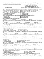 Đề kiểm tra đánh giá học kì 2 môn Địa lí năm 2020-2021 có đáp án - Trường THPT Nguyễn Thị Minh Khai