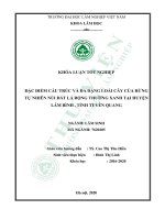 Đặc điểm cấu trúc và đa dạng loài cây của rừng tự nhiên núi đất lá rộng thường xanh tại huyện lâm bình, tỉnh tuyên quang (khóa luận   lâm học) 