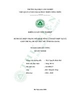 Đánh giá hiện trạng mô hình nông lâm kết hợp tại xã giáp trung, huyện bắc mê, tỉnh hà giang (khóa luận   quản lý đất đai và phát triển nông thôn) 