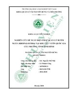 Nghiên cứu đề xuất biện pháp quản lý bướm ngày (rhopalocera) tại khu vực vườn quốc gia cúc phương, tỉnh ninh bình (khóa luận   quản lý tài nguyên rừng và môi trường) 