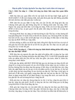 Đáp án phần tự luận tập huấn âm nhạc lớp 6 (sách chân trời sáng tạo)