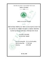 Một số đặc điểm cấu trúc và đa dạng loài cây của rừng tự nhiên núi đất lá rộng thường xanh tại huyện sơn hà, tỉnh quảng ngãi (khóa luận   lâm học) 