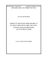 Nghiên cứu một số đặc điểm sinh học và kỹ thuật trồng rừng chiêu liêu nước (terminalia calamansanai (blanco) rolfe) tại vùng đông nam bộ