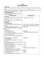 giao an lop 4 tuan 11cktkn2 buoi