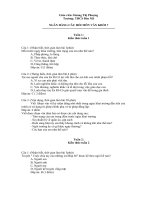 Ngan hang cau hoi van 7 ki I