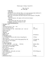 giao an lop 1 tuan 13 nam 20122013