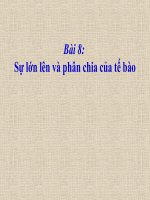 Bai 8 Su lon len va phan chia cua te bao