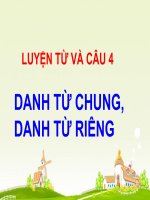 LUYEN TU VA CAU 4 DANG TU CHUNG DANH TU RIENG