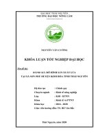 Đánh giá mô hình sản xuất lúa tại xã sơn phú huyện định hóa, tỉnh thái nguyên 