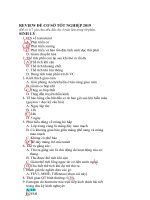 test TN cơ sở 2018 2019 (hải dớ) 