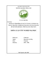 Đánh giá tình hình sản xuất cây rau cải thảo tại trang trại ông yoshio kawakami, làng kawakami, huyện minamisaku, tỉnh nagano, nhật bản 