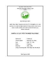 Điều tra thực trạng sản xuất và nghiên cứu ảnh hưởng của một số biện pháp kỹ thuật đến năng suất, chất lượng giống lê xanh tại huyện bảo lạc, tỉnh cao bằng  