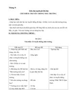 giao an hoat dong ngoai gio