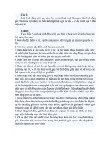 BAI THI BINH DANG GIOI