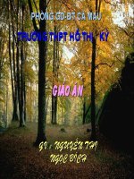 GUONG CAU LOM THAO GIANG