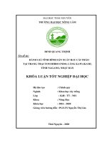 Đánh giá tình hình sản xuất rau cải thảo tại trang trại toyohiro endo, làng kawakami, tỉnh nagano, nhật bản 
