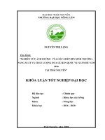 Ảnh hưởng của gốc ghép đến sự sinh trưởng, năng suất và chất lượng dưa lê hàn quốc vụ xuân   hè năm 2020 