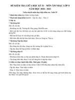 Ma trận đề kiểm tra các môn giữa học kì II năm học 2020-2021