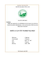 Hiệu quả kinh tế của mô hình sản xuất rau xà lách tại farm masahito shinohara, làng kawakami, tỉnh nagano, nhật bản năm 2019 