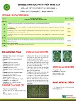Sinh học phát triển thực vật tiếng Việt