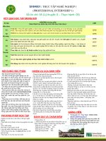 Thực tập nghề nghiệp 1 tiếng Việt