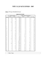 Tiểu luận cuối kì môn Kinh Tế Lượng Ứng Dụng Trong Kinh Doanh