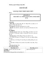 giao an day chuyen de LQVT va HDG