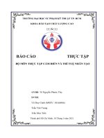 Báo cáo thực tập Robot HCMUTE