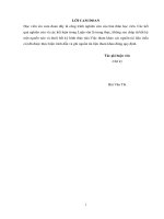 Nghiên cứu giải pháp nâng cao hiệu quả sử dụng tài nguyên nước của hệ thống thủy lợi liễn sơn khi xét đến biến đổi khí hậu 