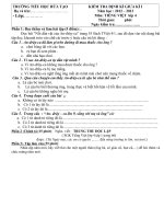 De KTGKI mon TV Nhung