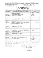 ke hoach tuan 8 to English