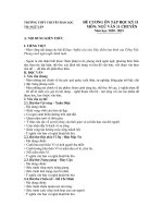 Đề cương ôn tập học kì 2 môn Văn lớp 11 chuyên năm 2020 - 2021 THPT chuyên Bảo Lộc | Ngữ văn, Lớp 11 - Ôn Luyện