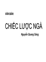 bai CHIEC LUOC NGA 2T