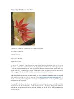 Tai sao la lai doi mau vao mua thu