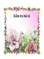 baico che xac dinh gioi tinh