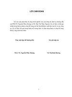 Luận án tiến sĩ nghiên cứu chế tạo và ảnh hưởng của các ion pha tạp lên cấu trúc và các tính chất từ của yttri sắt 