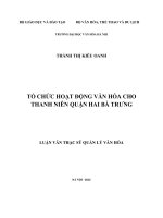 Luận văn thạc sĩ quản lý văn hóa   tổ chức hoạt động văn hóa cho thanh niên quận hai bà trưng 