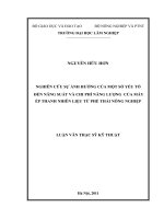 Luận văn Nghiên Cứu Sự Ảnh Hưởng Của Một Số Yếu Tố Đến Năng Suất