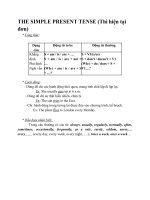 THE SIMPLE PRESENT TENSEdoc