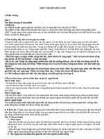 GOIYGIAIDEVAND20102010