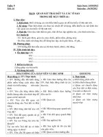 tuan 8 tiet 16 tin 6 2012